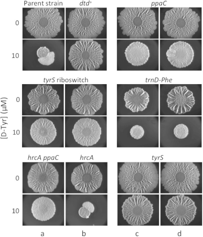 FIG 2