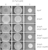FIG 6