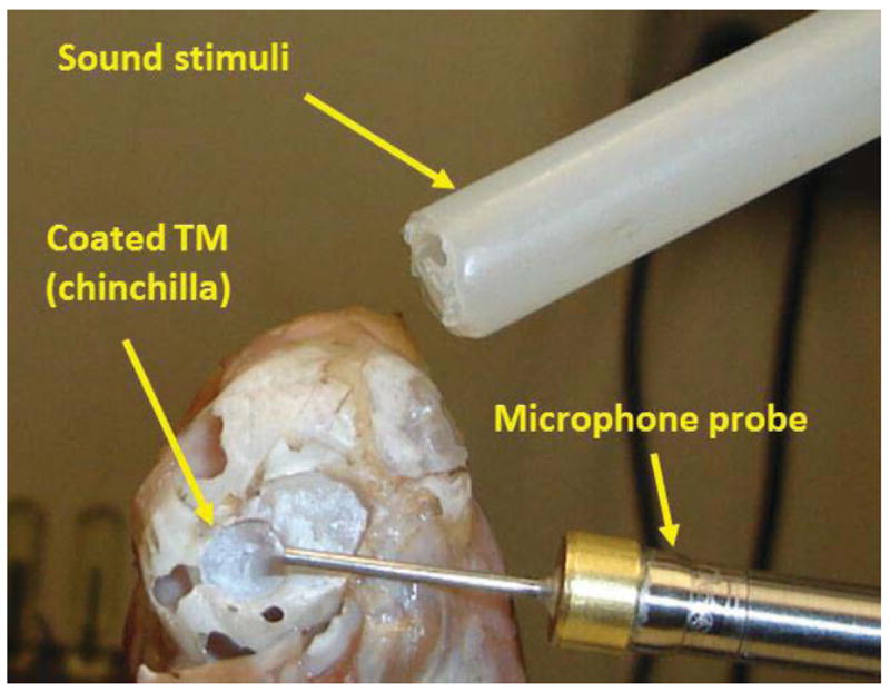 Fig.9