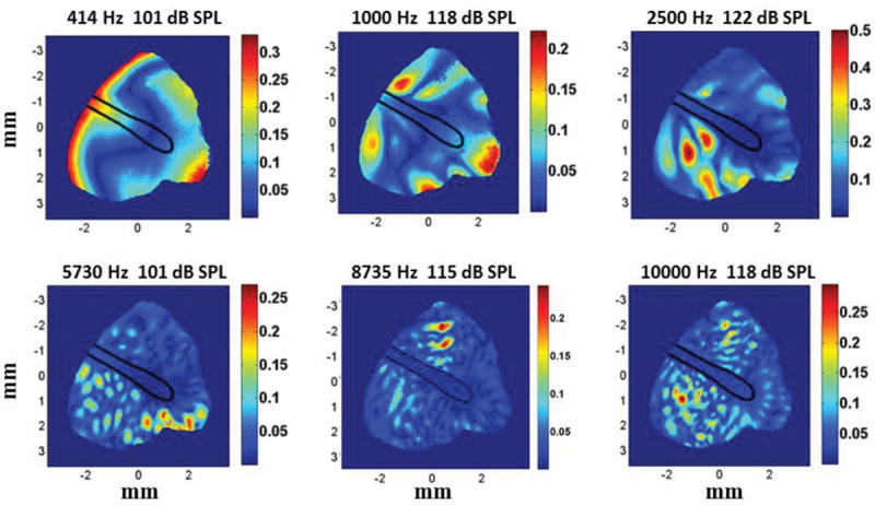 Fig.13