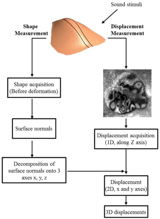 Fig.1