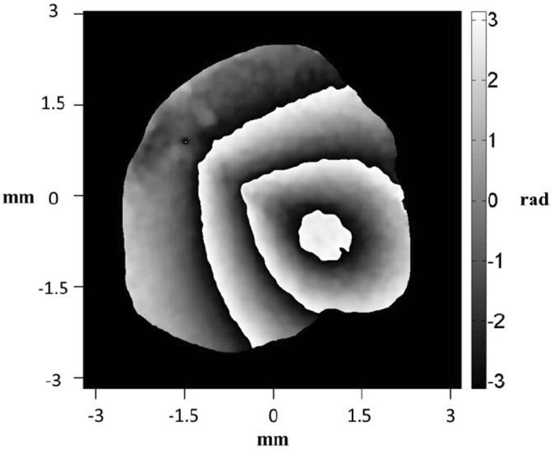 Fig.10