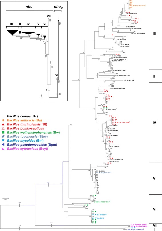 Fig. 6