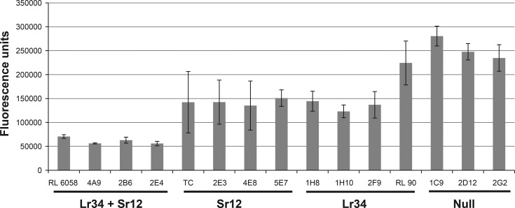 Fig 4