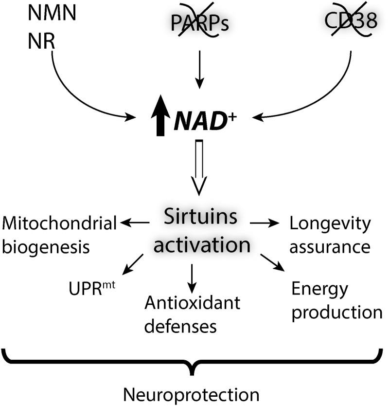 FIG. 6.