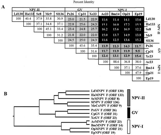 FIG. 9.