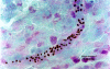 Figure 10.