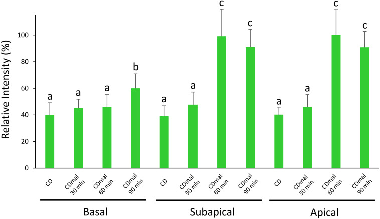 FIGURE 4