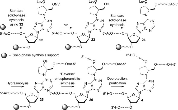 Scheme 6