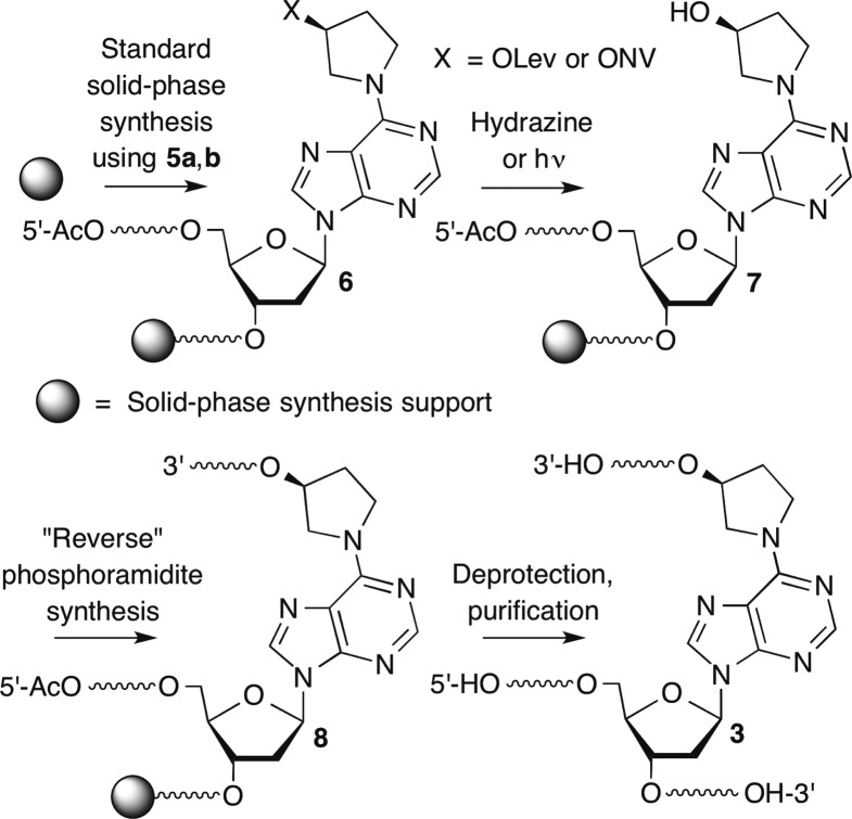 Scheme 4