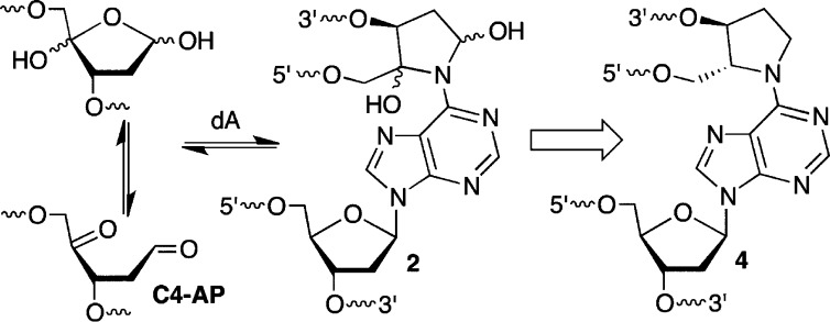 Scheme 2