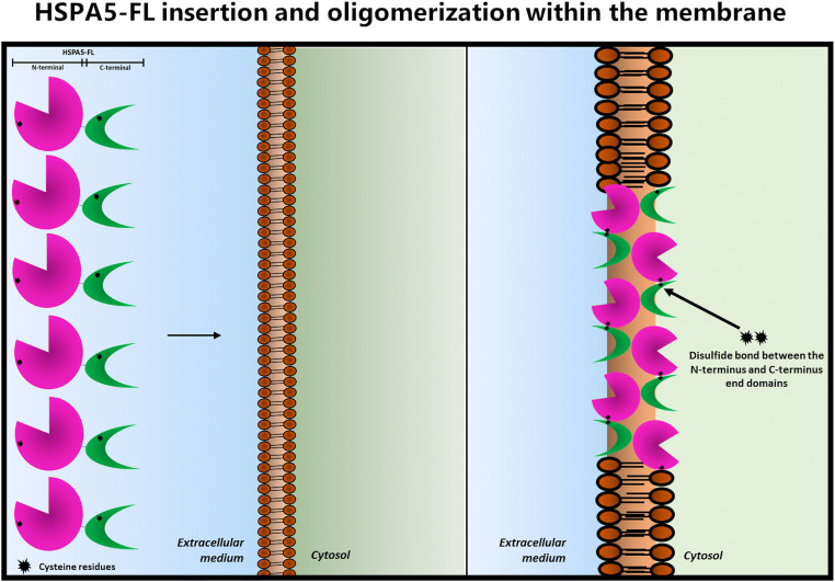 Fig. 8