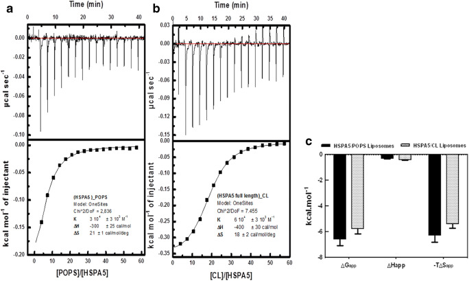 Fig. 3