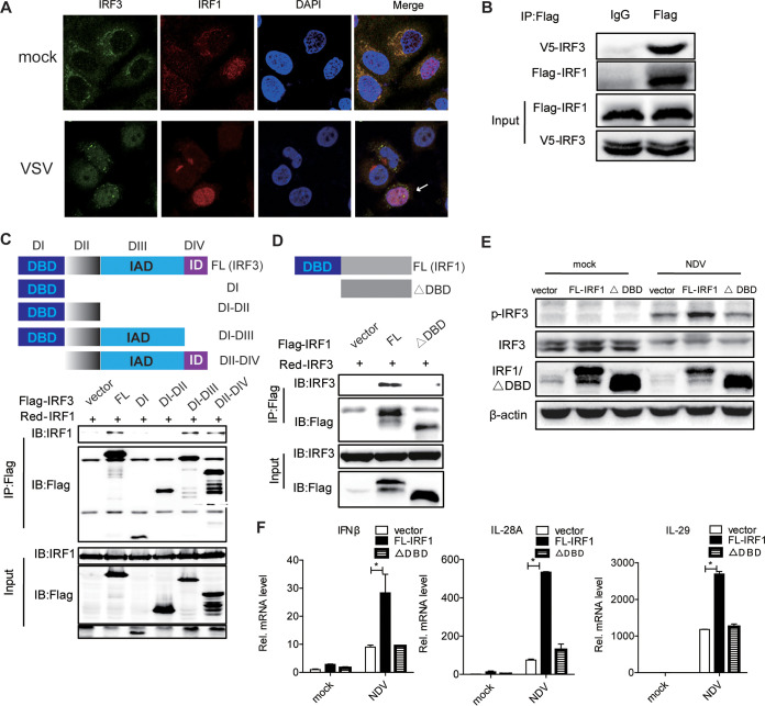 FIG 6