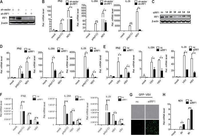 FIG 3