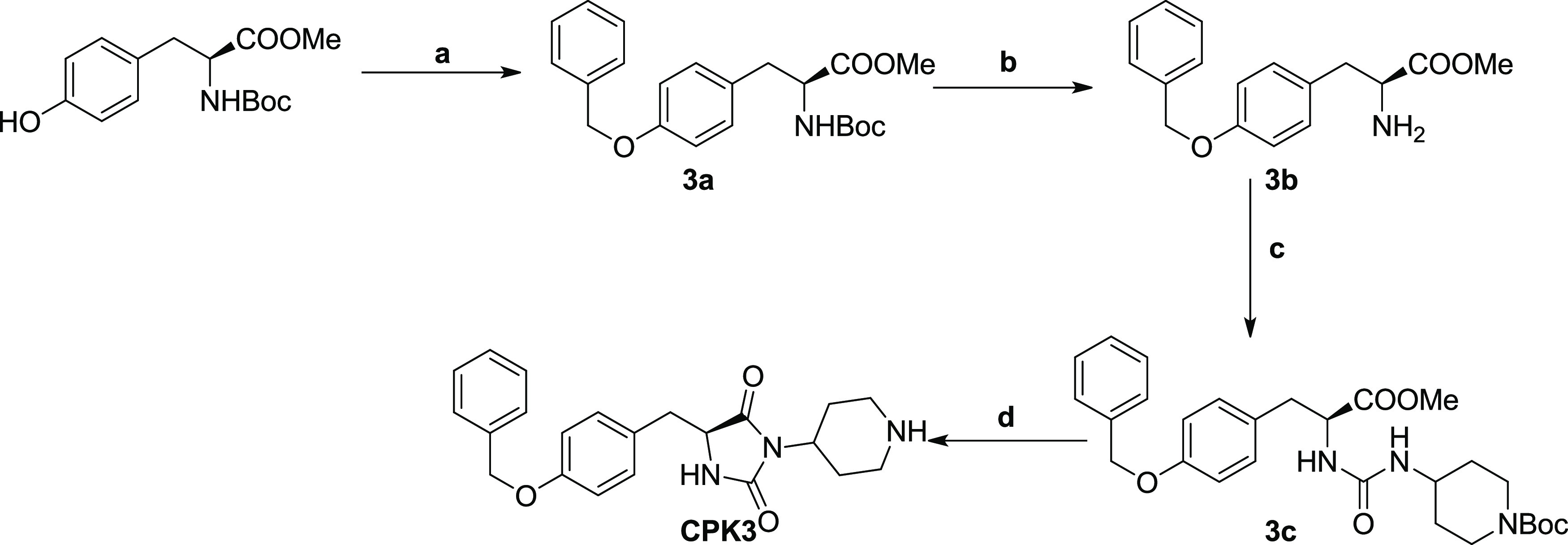 Scheme 2