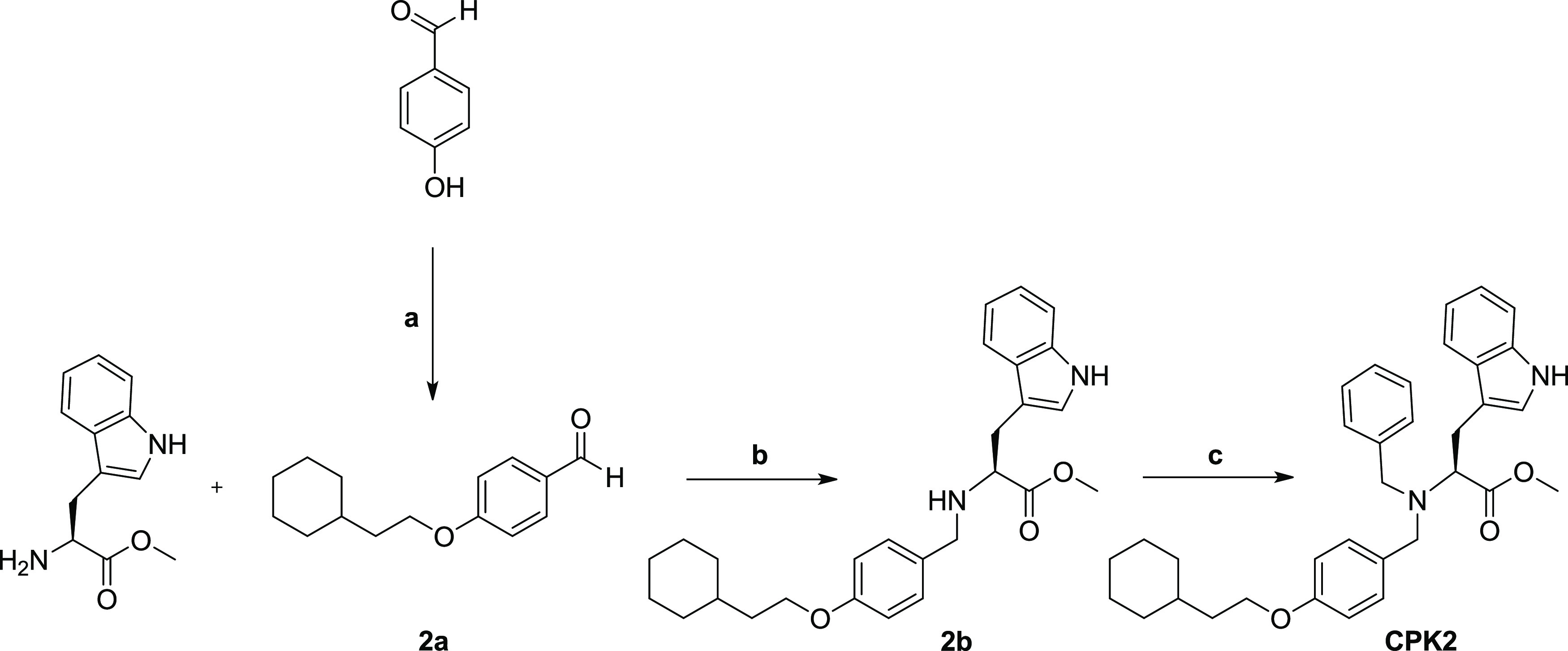 Scheme 1