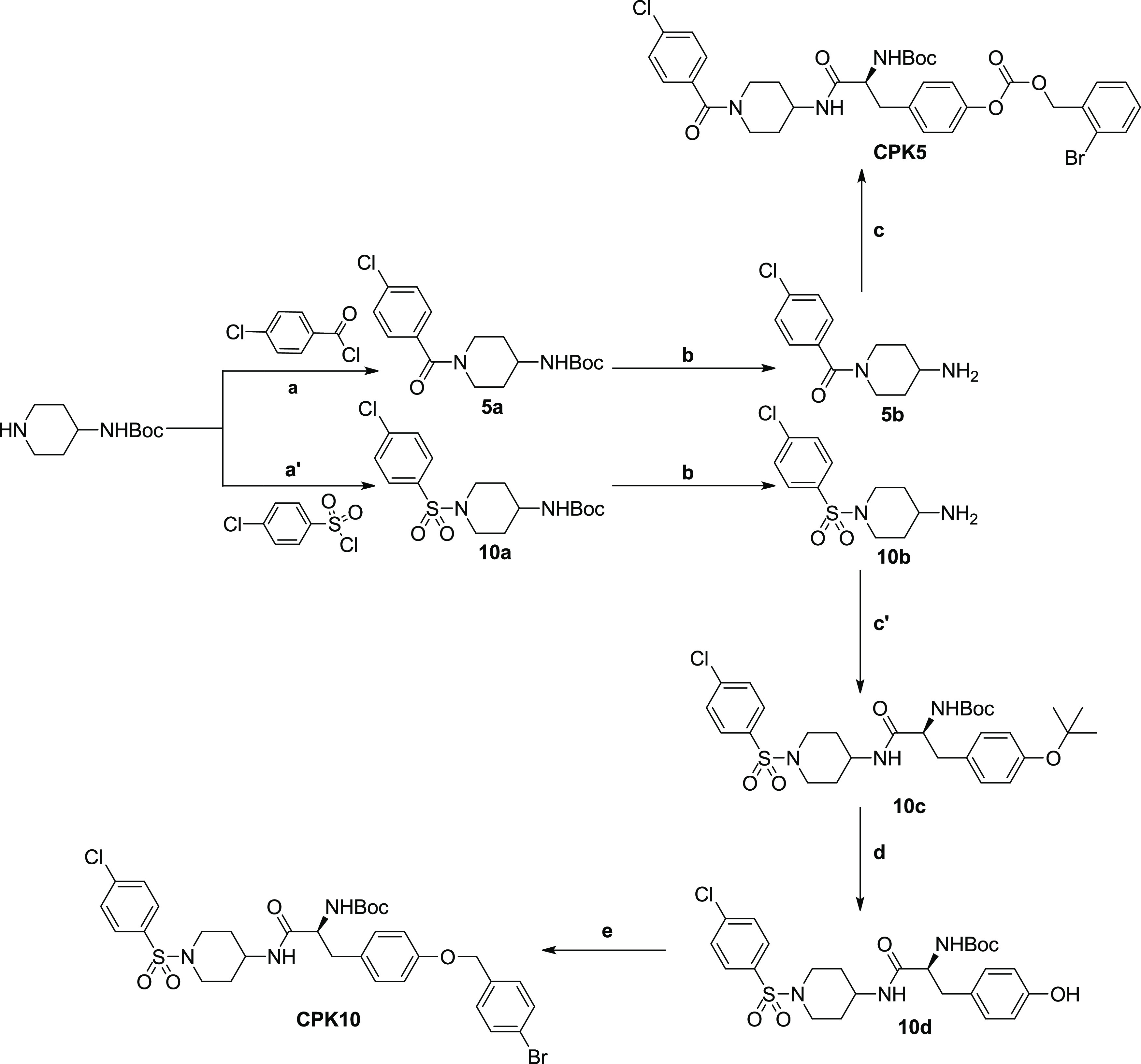 Scheme 3