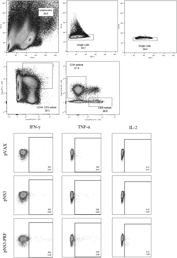 FIG 2