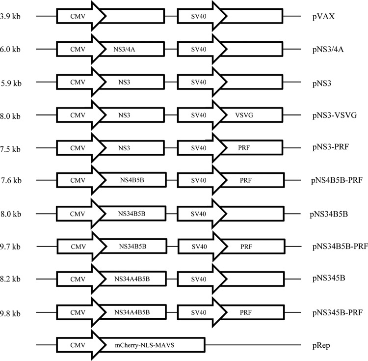 FIG 1