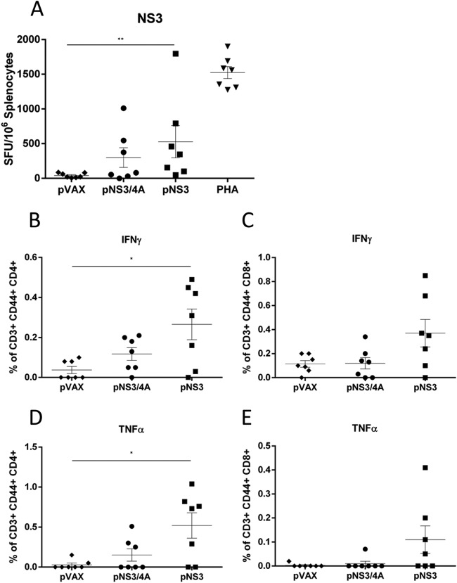 FIG 4