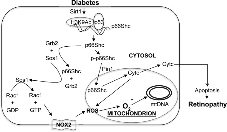 FIG. 9.