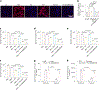 Fig. 4 |