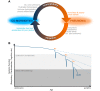 FIGURE 10.