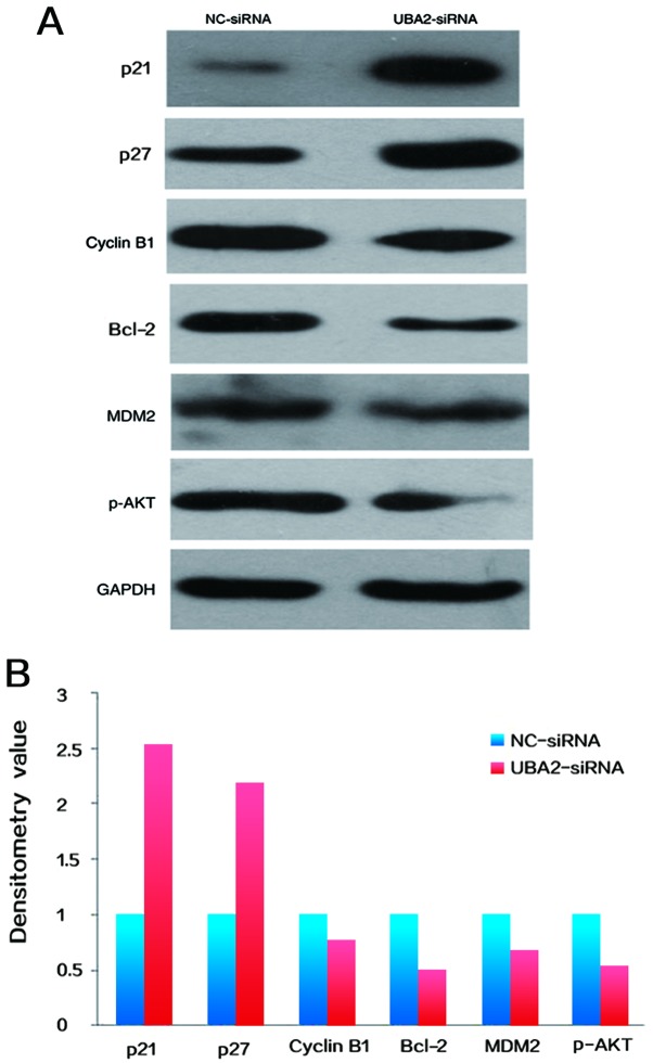 Figure 6.