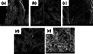 Fig. 1