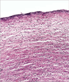 Fig. 9