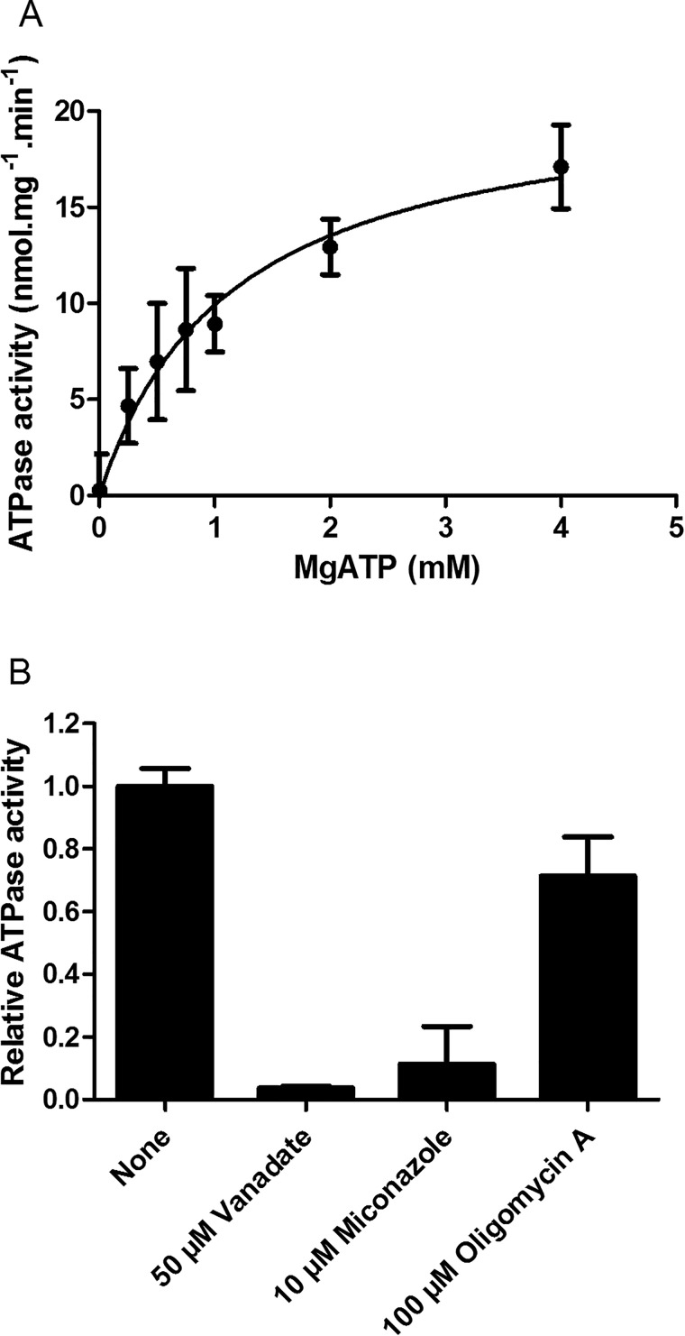 Figure 5.