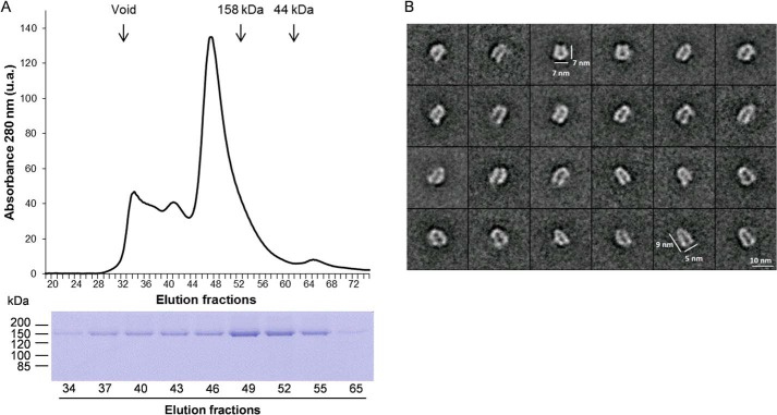 Figure 3.