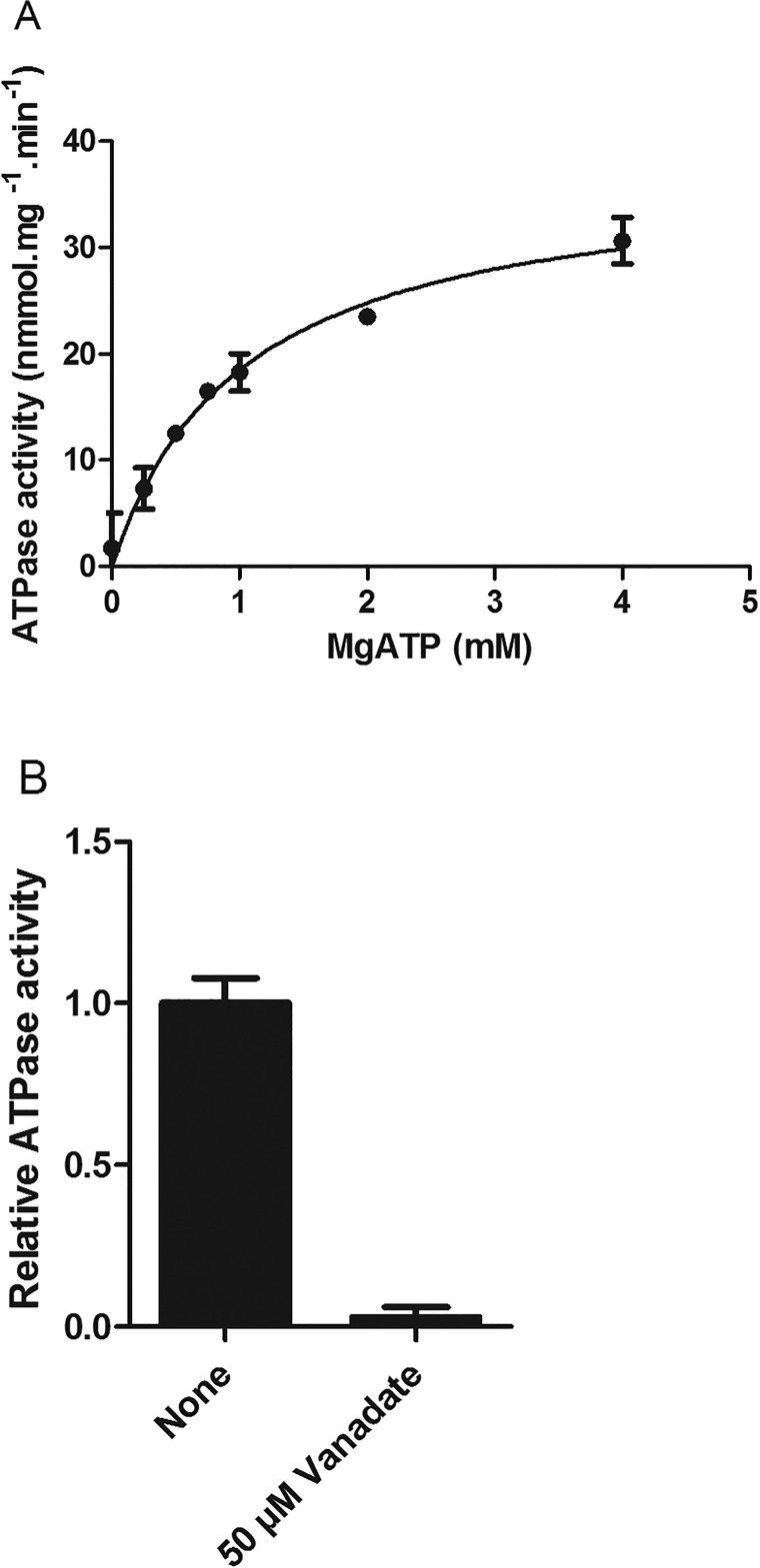 Figure 6.