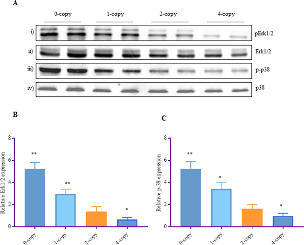 Figure 5: