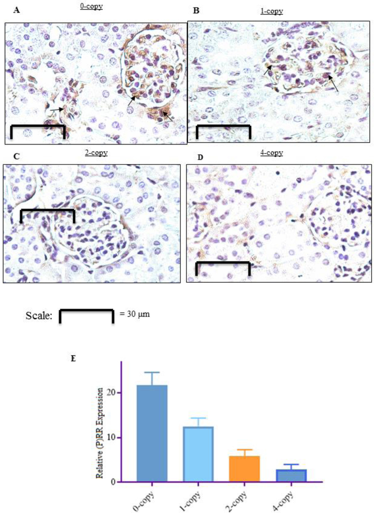 Figure 3: