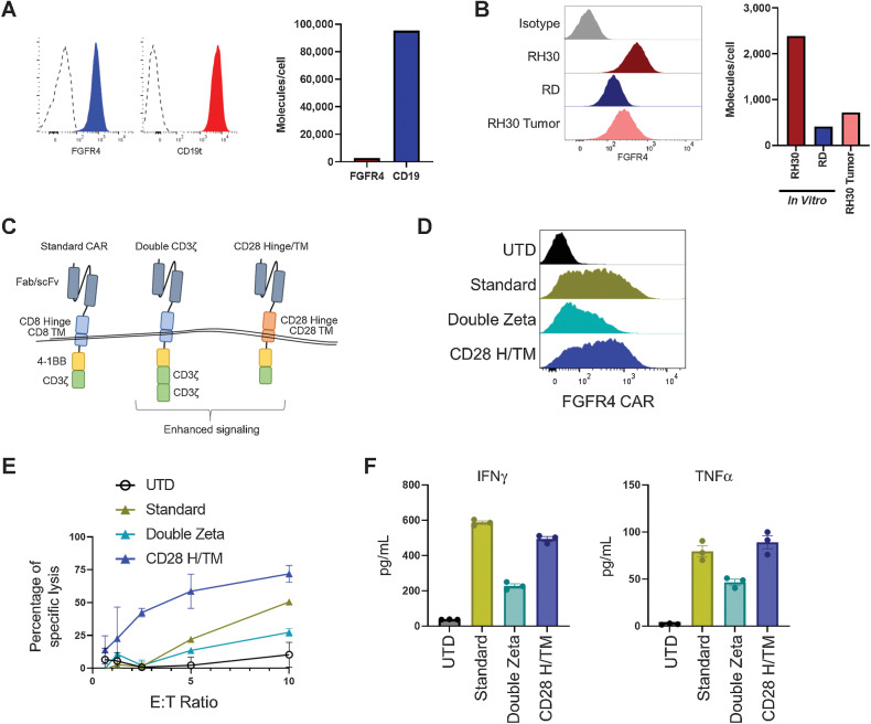 Figure 4. Tuning anti-FGFR4 CARs for low-density antigens. Expression of RH30_19 antigen surface expression of FGFR4 and CD19 as assessed by flow cytometry (A) and quantified with QuantiBrite beads (B). Quantification of surface FGFR4 expression of cultured RH30_19 and RD cell lines or RH30_19 cells derived from excised tumors. Both flow analysis (left) and quantification (right) are shown. C, New CAR structural and signaling formats evaluated: Double CD3ζ CAR, and CD28 H/TM CAR. D, Surface expression of RJ154HL CAR (anti-FGFR4 CAR) with indicated new signaling domains assessed by flow cytometry. E, Cytotoxicity of anti-FGFR4 CAR T cells against the RD-ffLuc RMS cell line after 5 hours of co-culture at indicated E:T ratios. F, Cytokine production by anti-FGFR4 CAR after 20 hours of co-culture with RH30_19 target cells. Average of three wells and SEM is indicated for each new CAR format and control UTD.