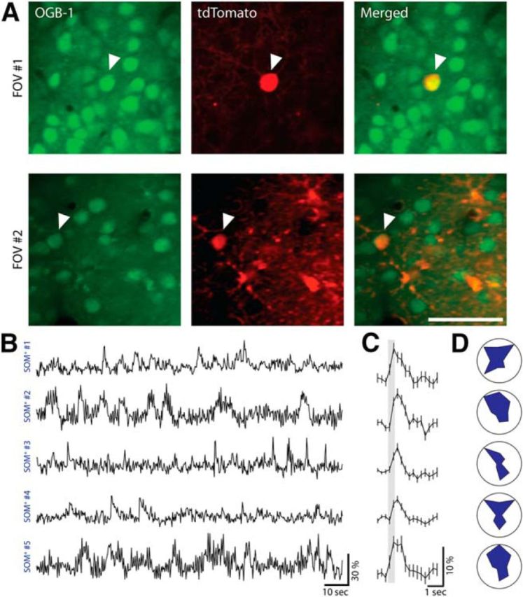 Figure 3.