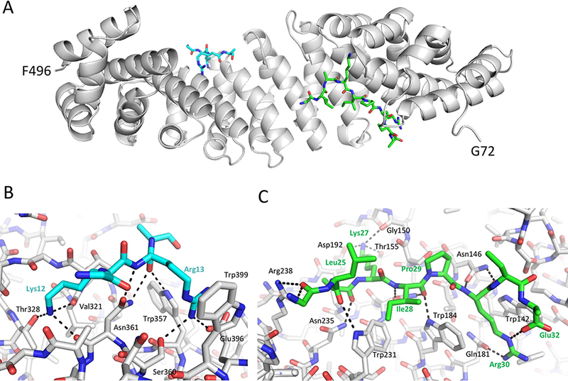 Figure 3.