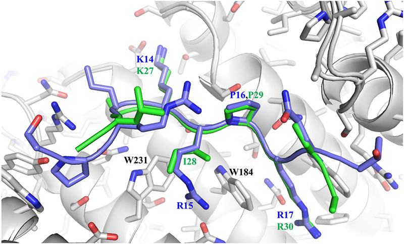 Figure 7.