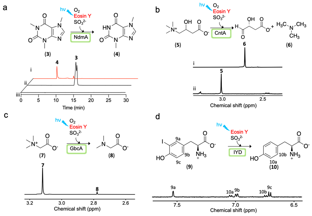 Figure 5.