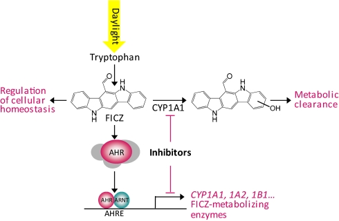 Fig. 6.