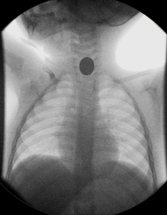 Figure 8