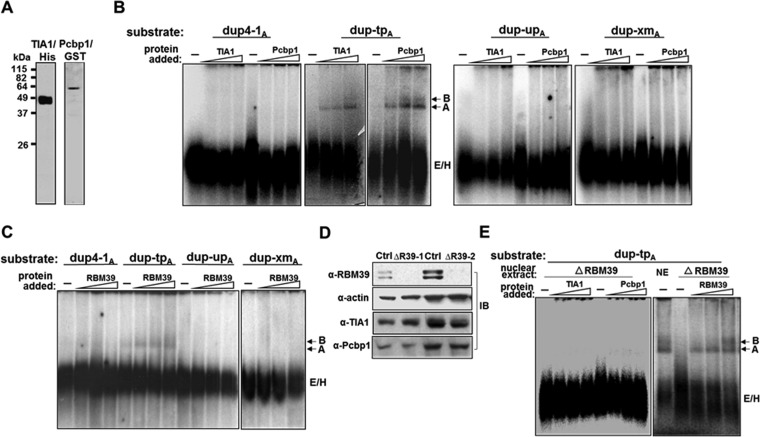 FIG 11