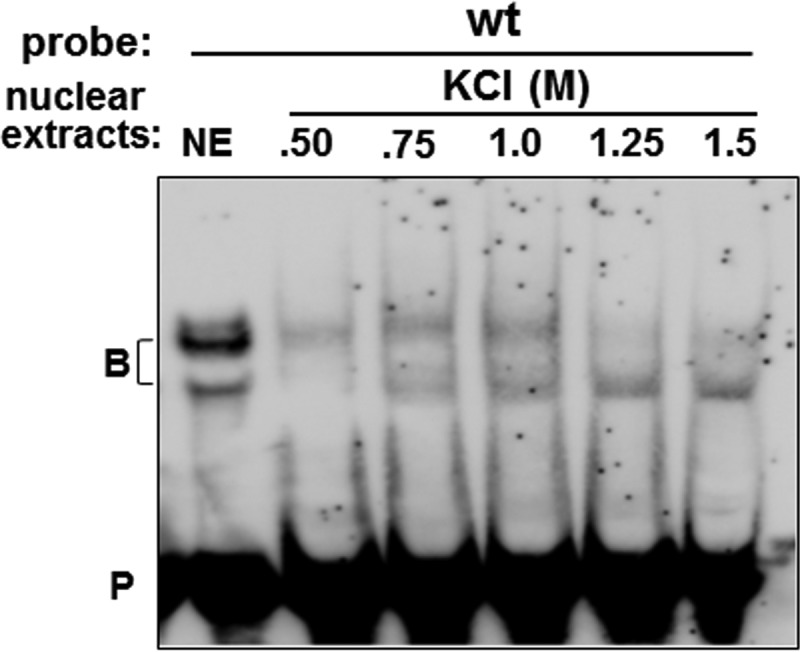 FIG 3