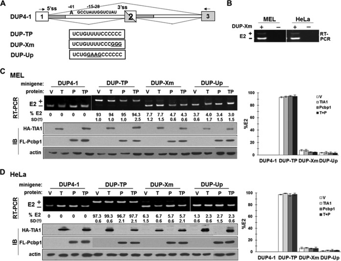 FIG 8