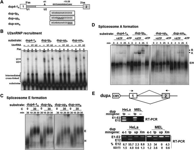 FIG 10