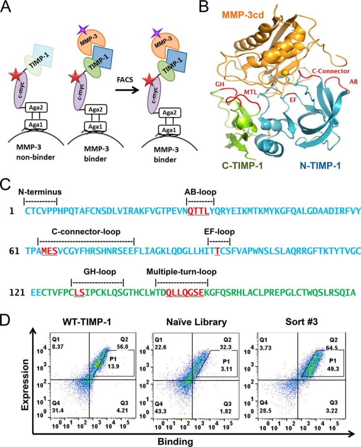 Figure 2.