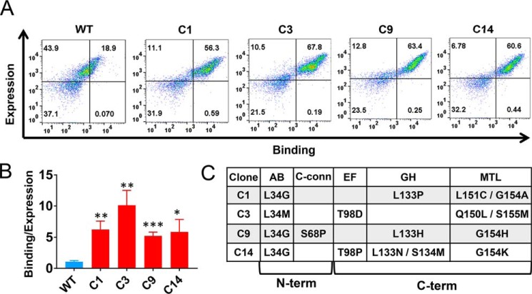 Figure 3.