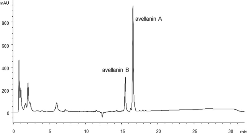 Figure 3. 